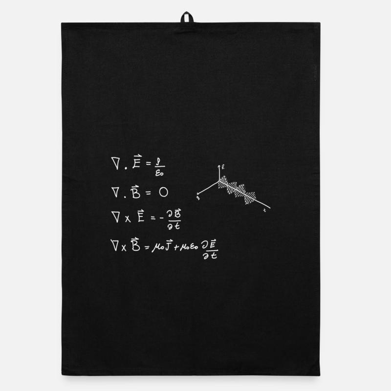 Équations de Maxwell Torchon bio