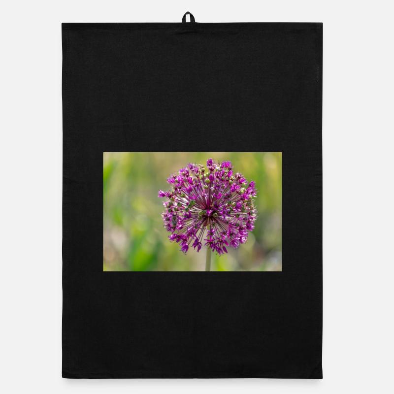 Gros plan d’une fleur violette - Poireau géant Torchon bio