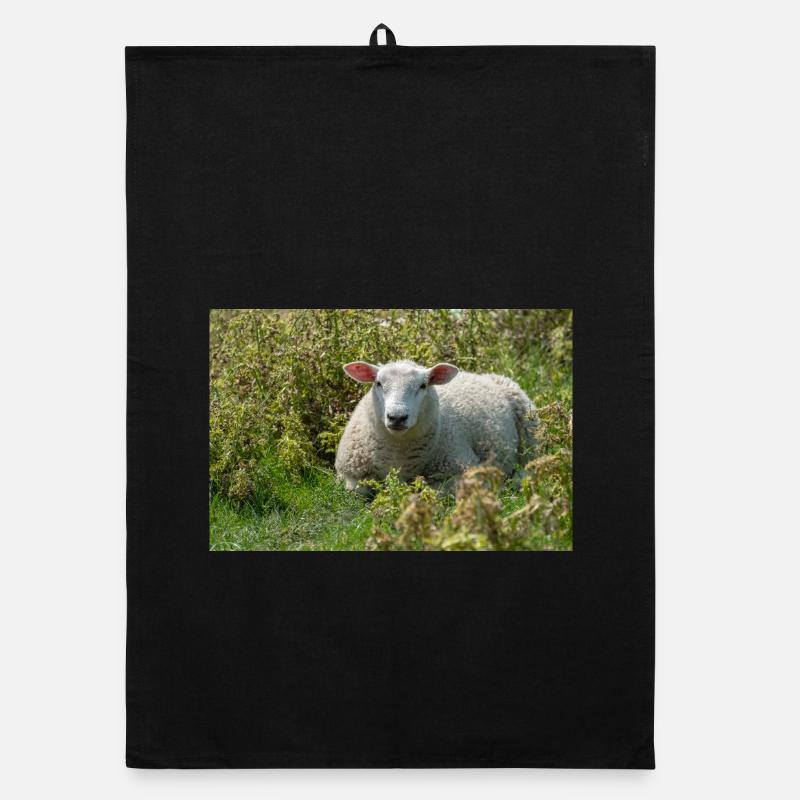 Moutons allongés dans l’herbe - Affiche Torchon bio