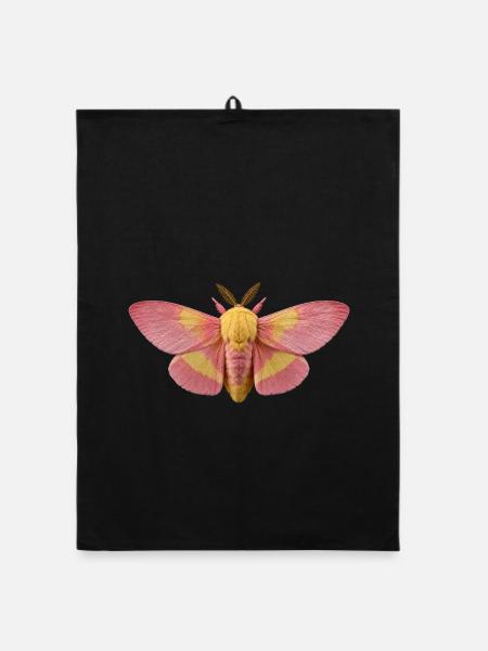 Rosy Ahornmotte Dryocampa rubicunda - Organic Geschirrtuch - Schwarz - Vorne