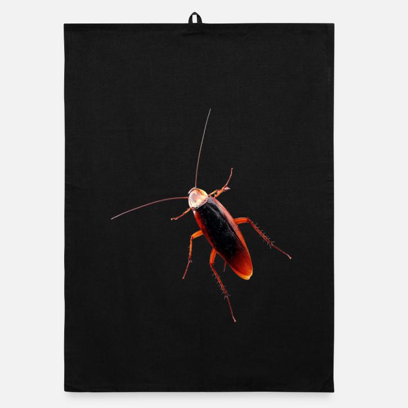 Cockroach cockroach insect cockroach Organic dish towel