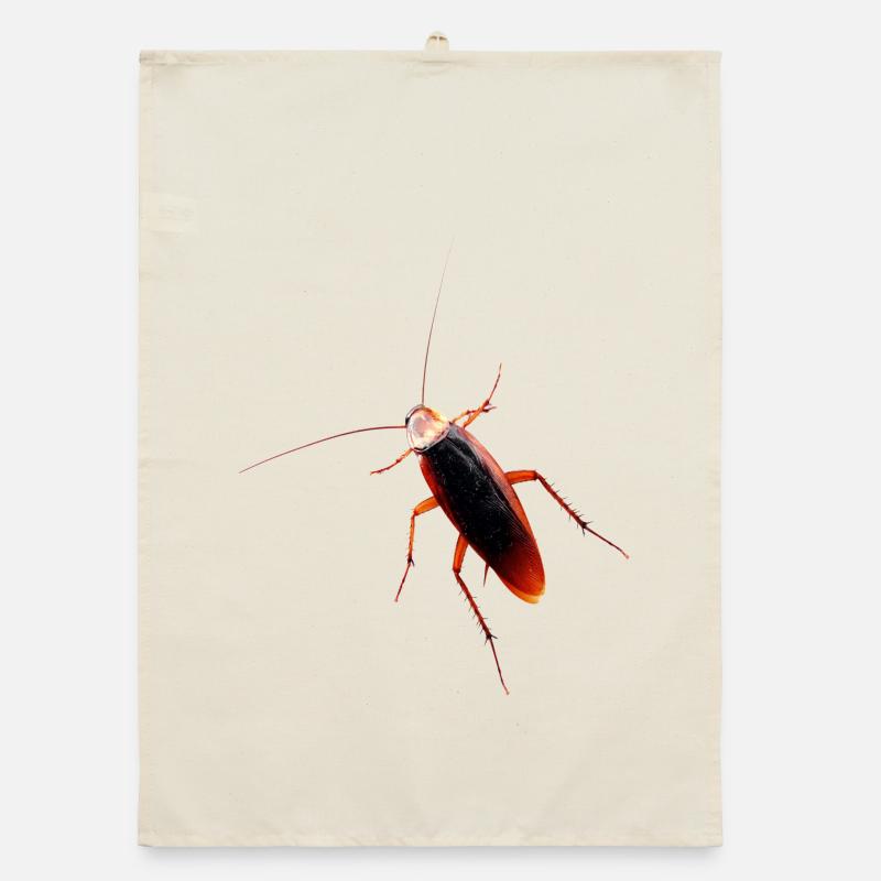 Cockroach cockroach insect cockroach Organic dish towel