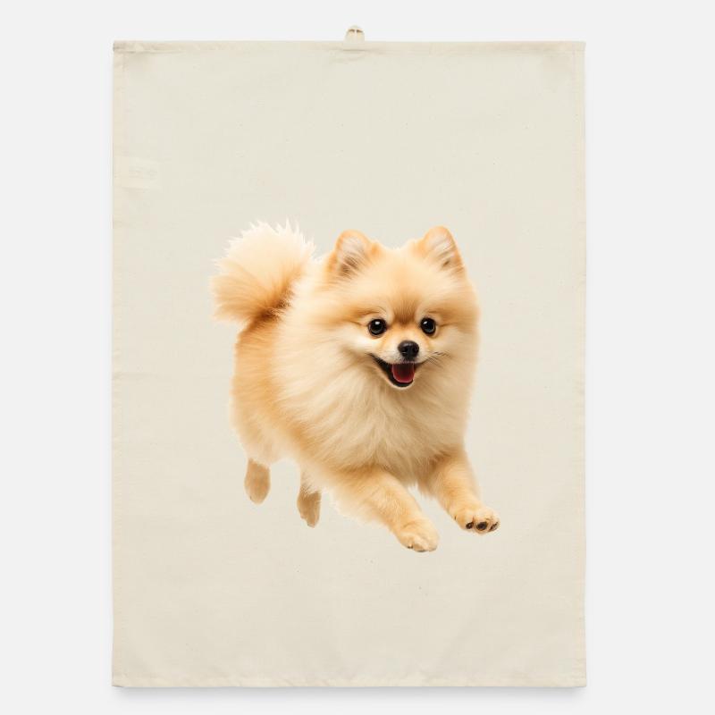 Spitz nain Torchon bio