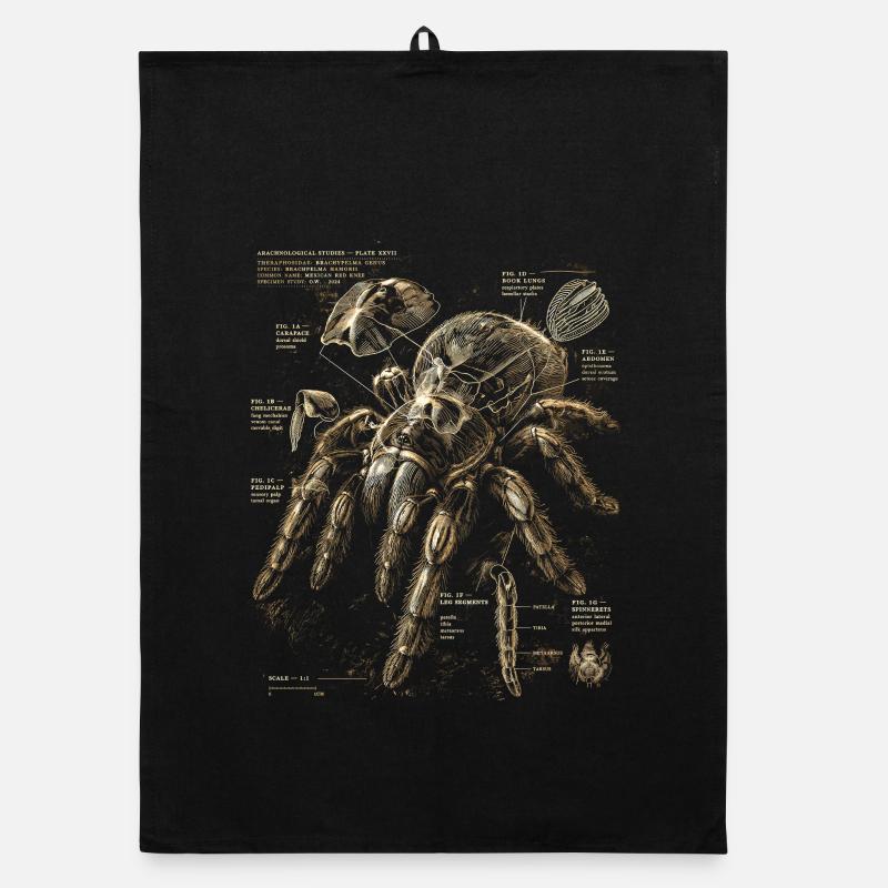 Tarantula Organic dish towel