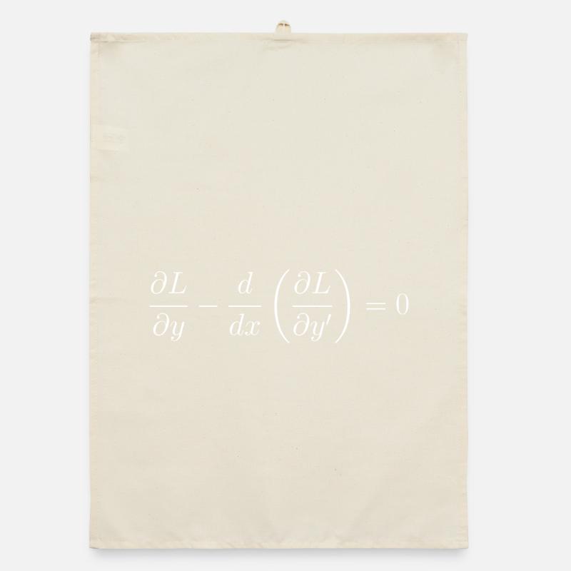 Euler-Lagrange equation fundamental notion physics Organic dish towel