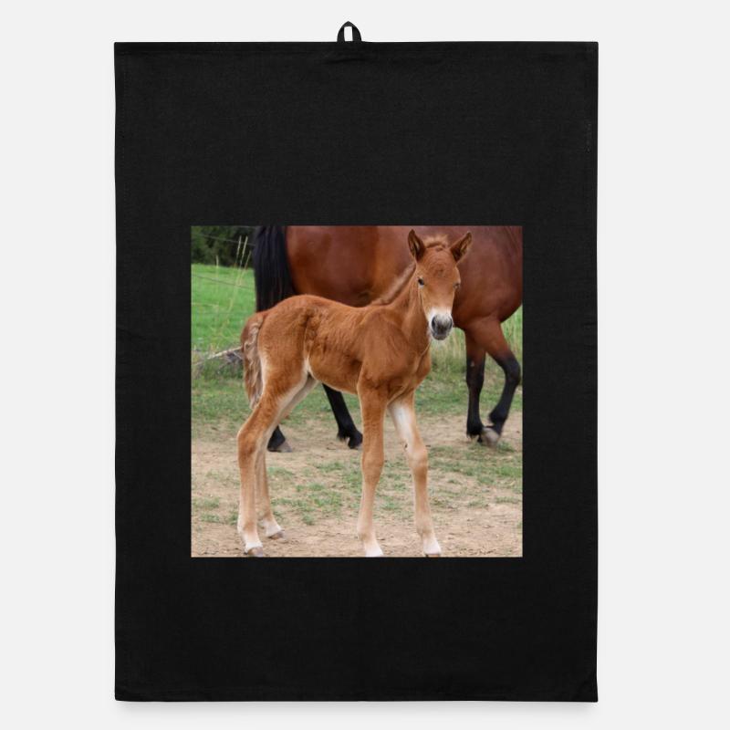 Affiche Cheval Cheval Torchon bio