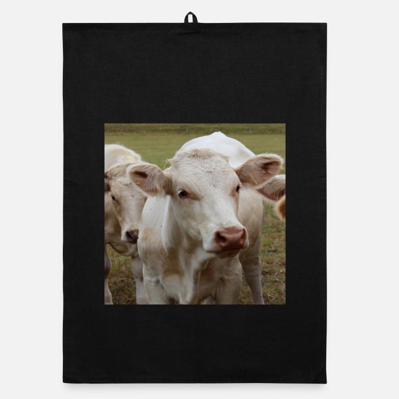 Affiche vache Torchon bio