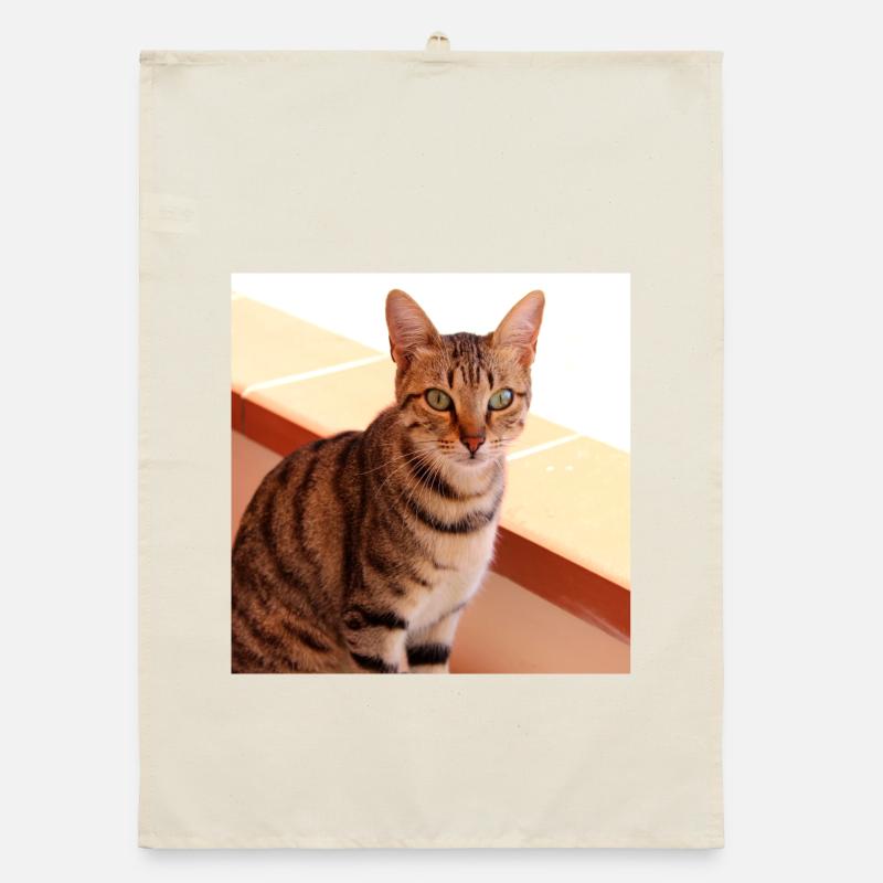 Chat chaton affiche chat carré affiche Torchon bio