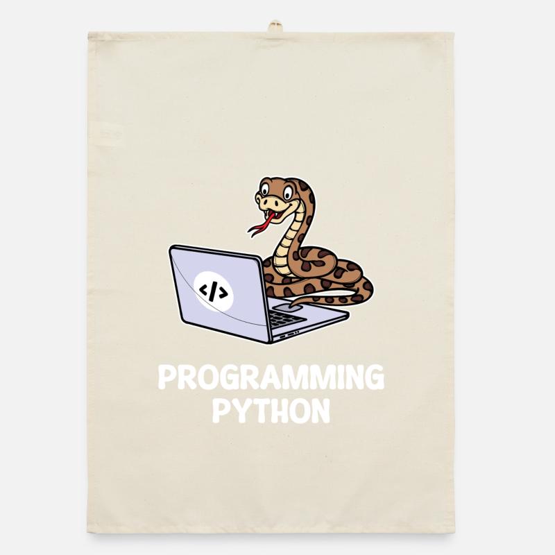 Programmeur de scripts, Développeur de débogage informatique Torchon bio