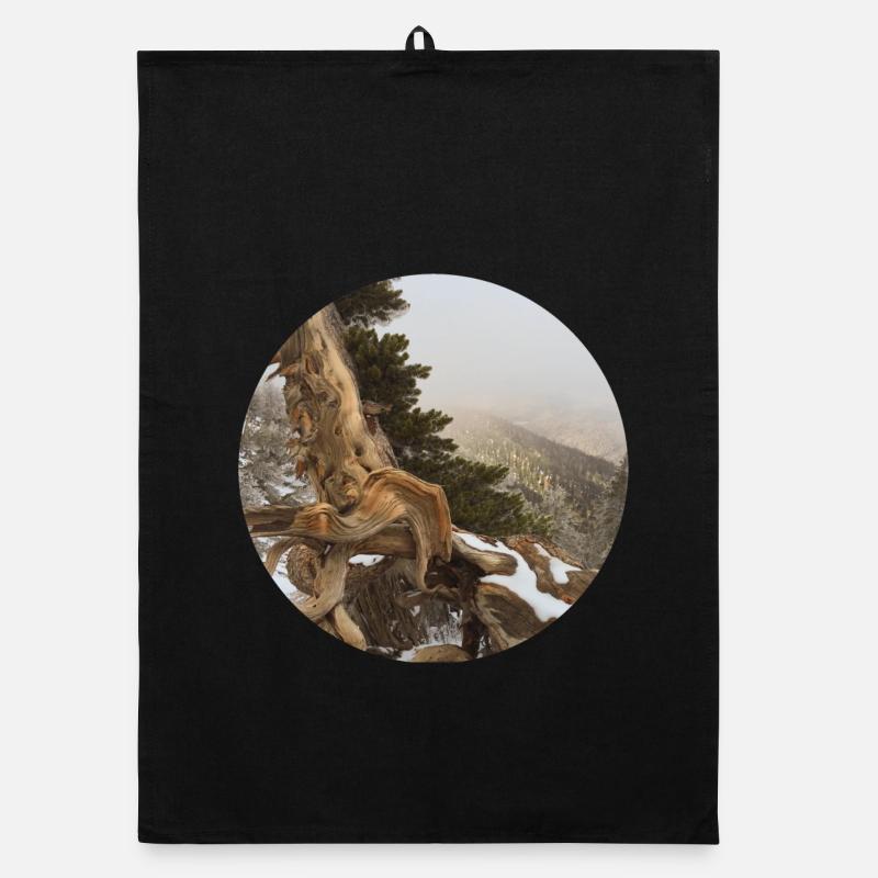 old gnarled tree on the Pacific Crest Trail Organic dish towel
