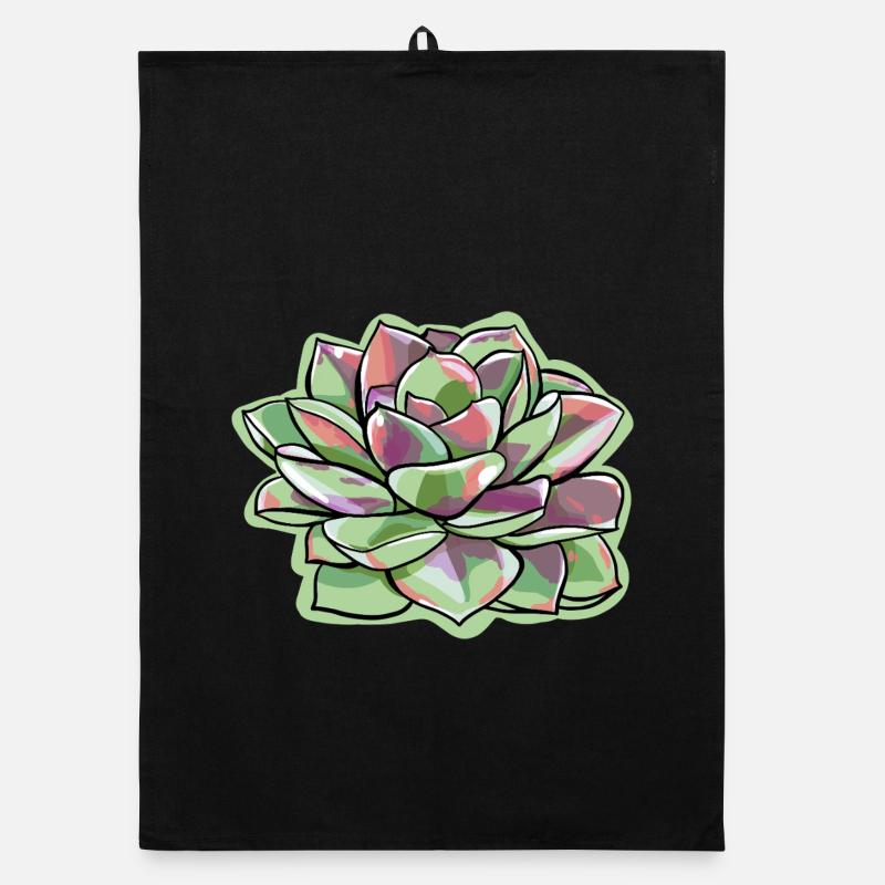 Echeveria Fat Leaf Rosette Succulente Torchon bio