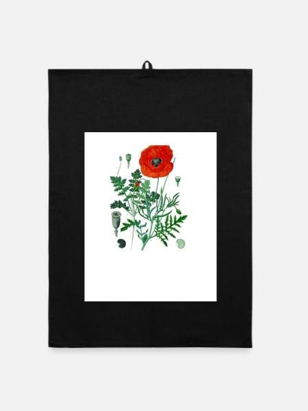 Red poppy in botanical illustration - Organic dish towel - black - Front