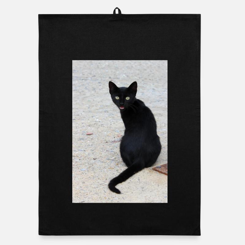 Chat noir Torchon bio