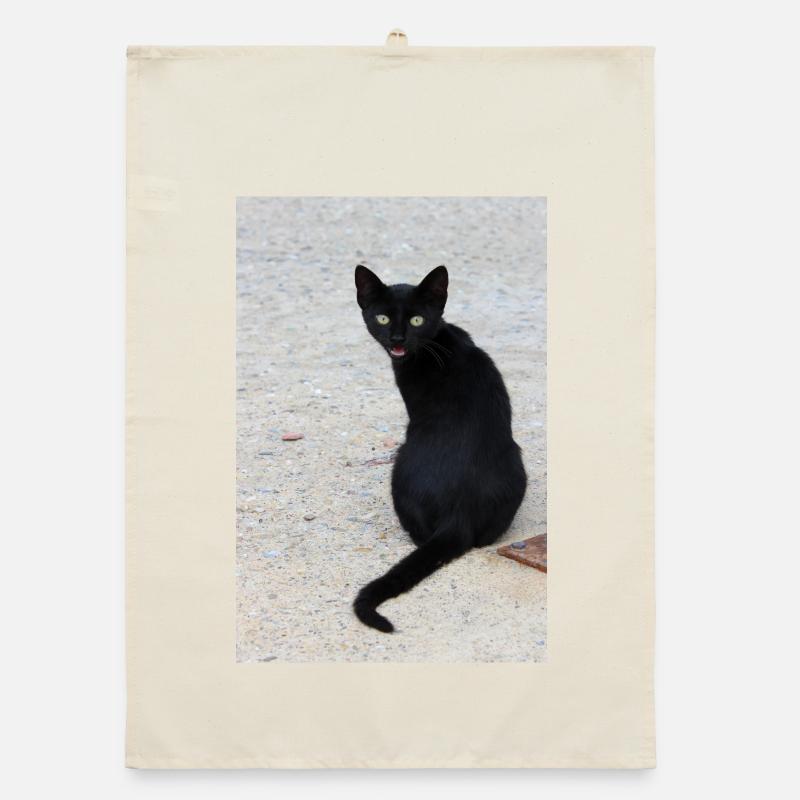 Chat noir Torchon bio
