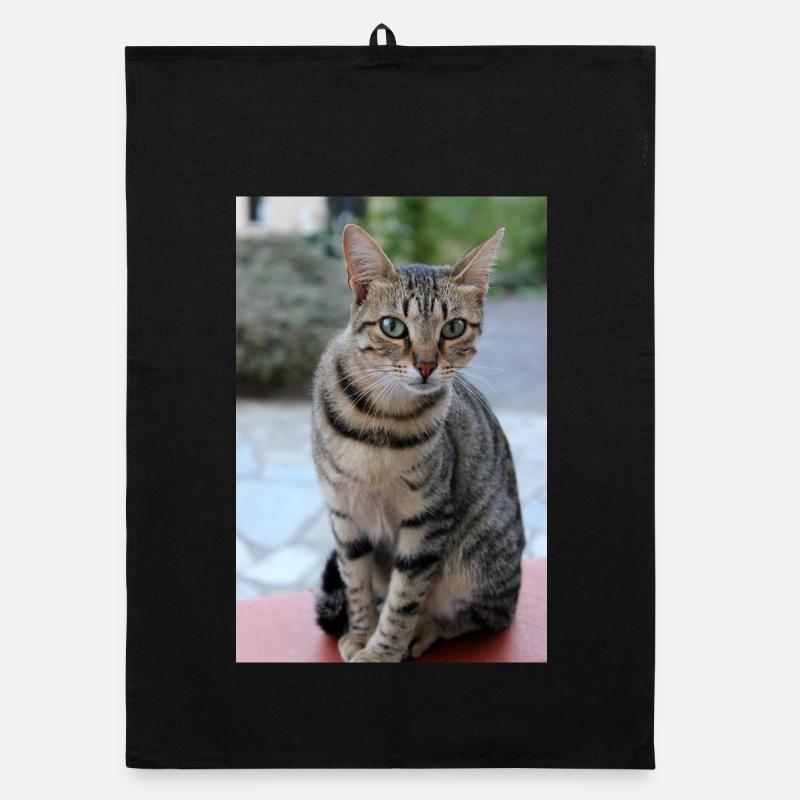Chat Chaton Poster Chat Poster Torchon bio