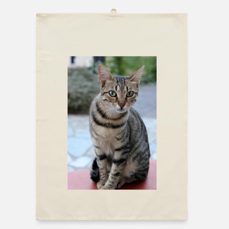 Chat Chaton Poster Chat Poster Torchon bio