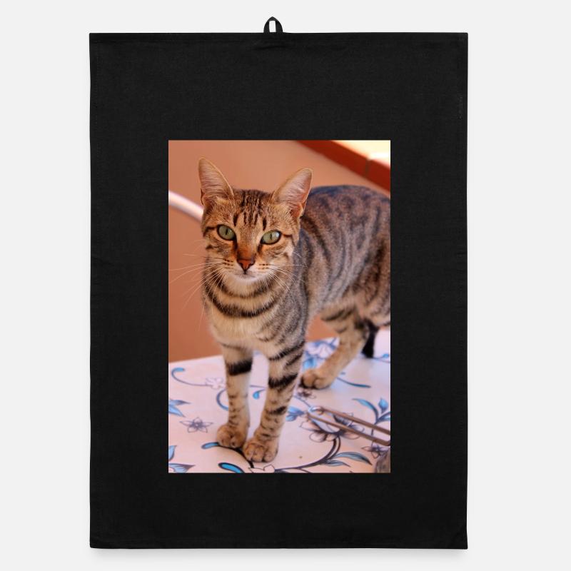 Cat Kitten Organic dish towel