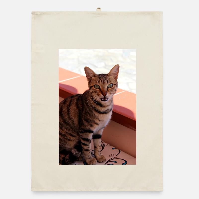 Organic dish towel