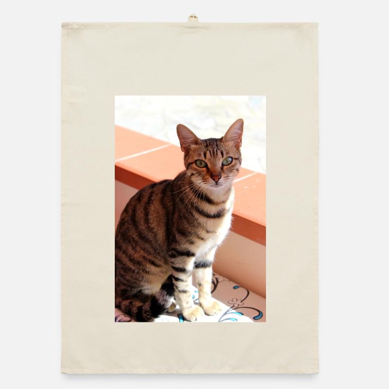 Chaton Chaton Torchon bio