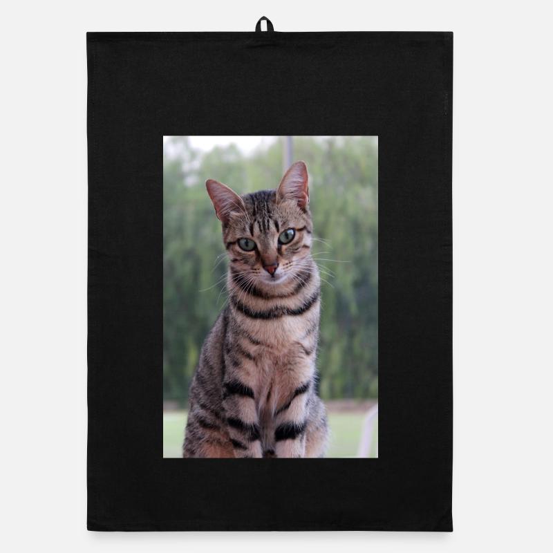 Katze Kätzchen - Organic Geschirrtuch - Schwarz