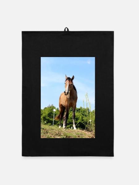 Affiche Cheval Cheval - Torchon bio - noir - Devant