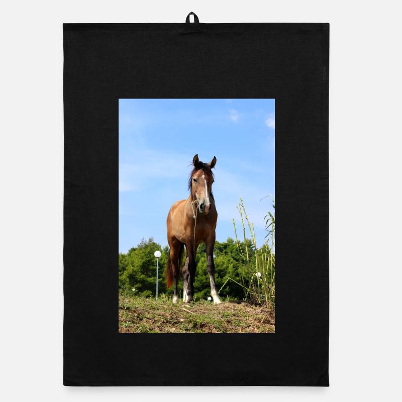 Affiche Cheval Cheval Torchon bio