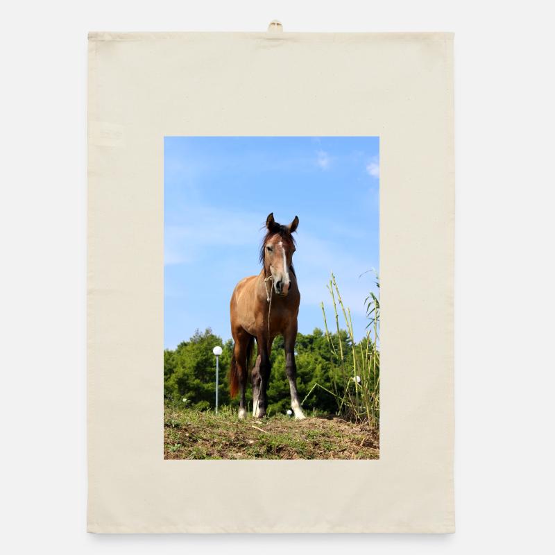 Affiche Cheval Cheval Torchon bio