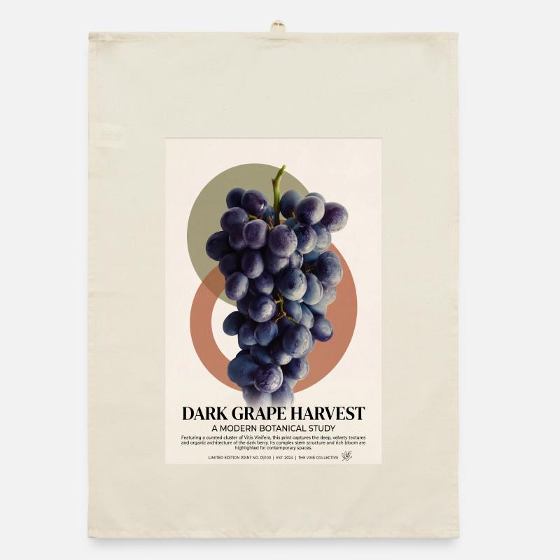 Vendange du raisin noir Torchon bio