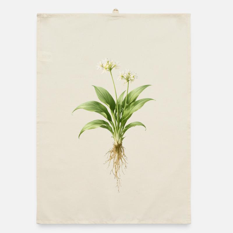 Design botanique de la plante d’ail sauvage Torchon bio