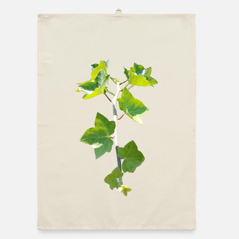 Ivy – Evergreen connection Organic dish towel