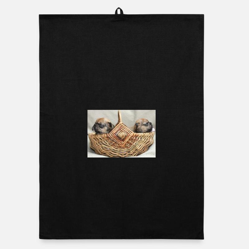 Bouledogues français deux chiots mignons Torchon bio