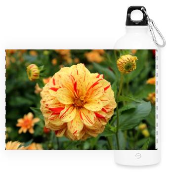 Dahlie Blüte Blume gelb rot - Panorama Trinkflasche mit Karabiner 750 ml - Weiß - Vorne
