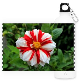 Dahlie weiß rot Blüte ,Blume - Panorama Trinkflasche mit Karabiner 750 ml - Weiß - Vorne