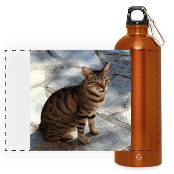Katze Kätzchen Poster quadratisch Katzenposter - Panorama Trinkflasche mit Karabiner 750 ml - Orange - Vorne