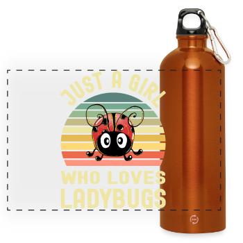 Ladybird - Panoramic Drinks Bottle with Carabiner 750 ml - burnt orange - Front