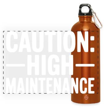 Vorsicht: Hoher Pflegeaufwand - Panorama Trinkflasche mit Karabiner 750 ml - Orange - Vorne