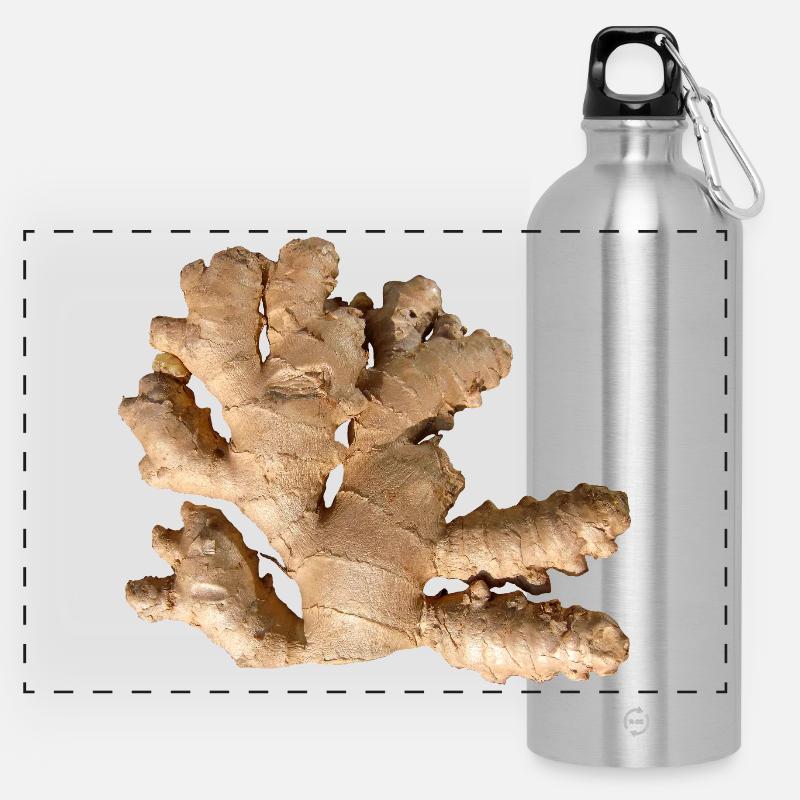 Ginger - Panoramic Drinks Bottle with Carabiner 750 ml - silver