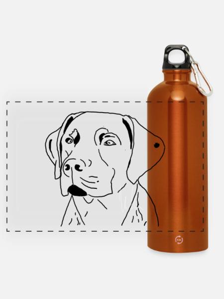 Labrador - Panorama Trinkflasche mit Karabiner 750 ml - Orange