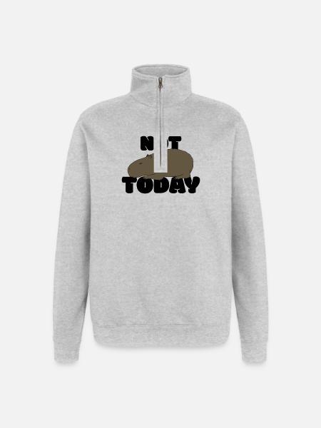 Not today Capybara - Quarter-Zip Sweatshirt - heather grey