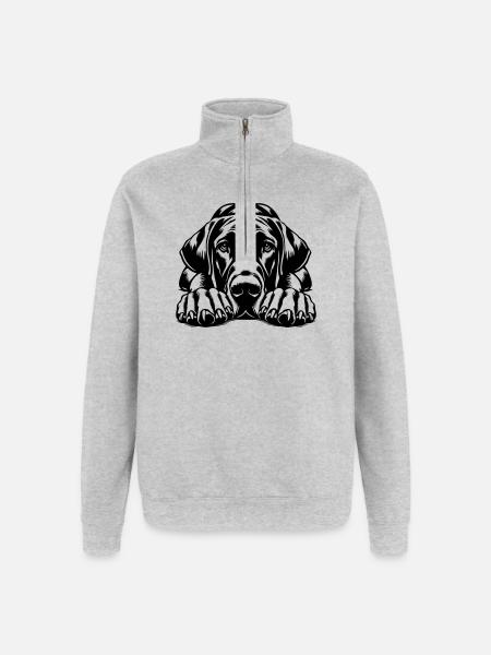 Great Dane - Quarter-Zip Sweatshirt - heather grey