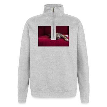 Cute tabby baby cat, lying, photography - Quarter-Zip Sweatshirt - heather grey - Front - AI Model Female 172 light (172cm) & AI Model Male 178 dark (178cm)