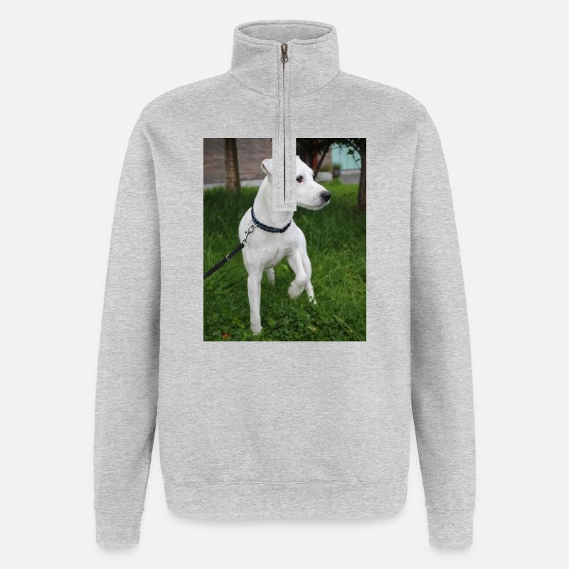 image00004 - Quarter-Zip Sweatshirt - heather grey