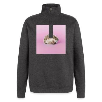 Sleeping hedgehog on pasty pink background - Quarter-Zip Sweatshirt - charcoal grey - Front - AI Model Female 172 light (172cm) & AI Model Male 178 dark (178cm)