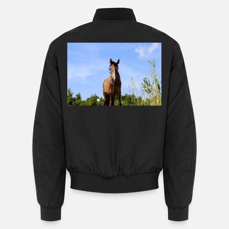 Affiche Cheval Cheval Bomber unisexe