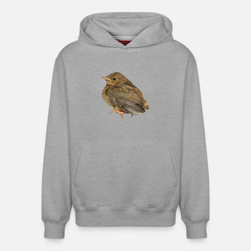 Succursale de Robin - Sweat à capuche unisexe décontracté en coton biologique – de SPREAD - gris chiné