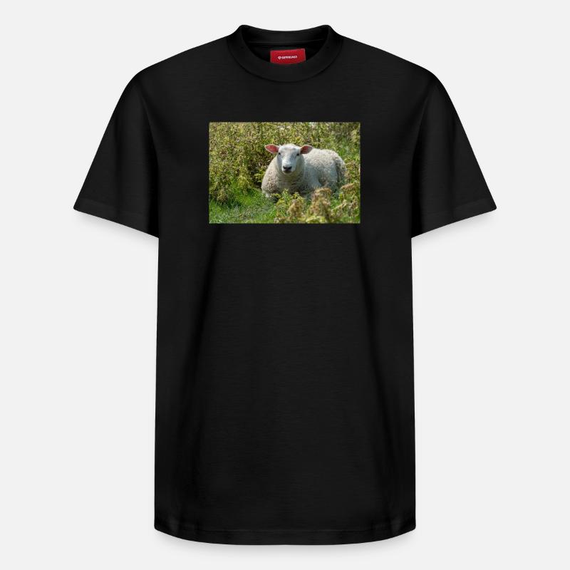 Moutons allongés dans l’herbe - Affiche - T-shirt unisexe décontracté en coton Supima – de SPREAD - noir