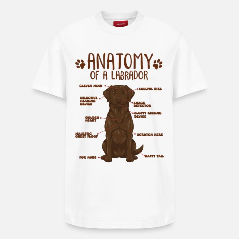 Anatomie d’un Labrador brun - T-shirt unisexe décontracté en coton Supima – de SPREAD - blanc