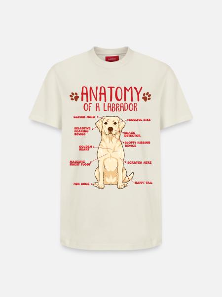 Chemise jaune d’anatomie Labrador - T-shirt unisexe décontracté en coton Supima – de SPREAD - blanc cassé