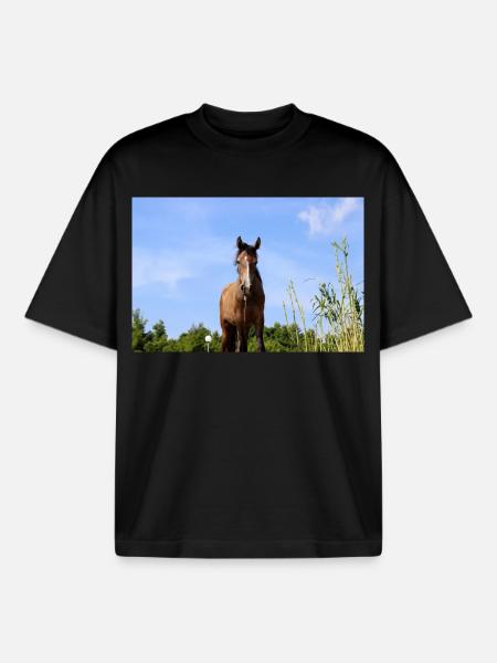 Affiche Cheval Cheval - T-shirt unisexe boxy épais biologique Stanley/Stella - noir