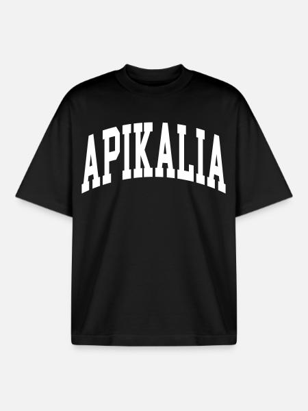 Apikalia - Boxy Heavyweight Unisex Organic T-Shirt von Stanley/Stella - Schwarz